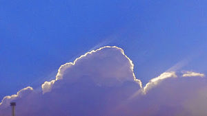 Meet your Posher, Uzma